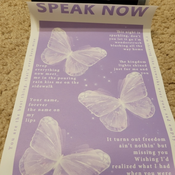 ๐5 for $25/Taylor Swift-Inspired Canvas Poster - Picture 1 of 2